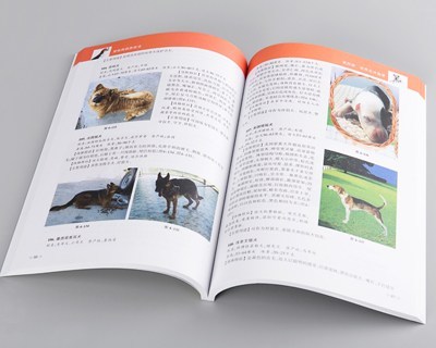 pingding.JPEG pingding.JPEG