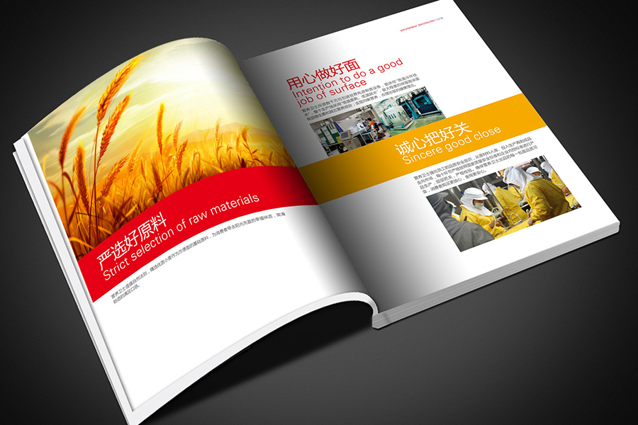 畫(huà)冊設計公司制作的畫(huà)冊設計欣賞圖片大全整理第15張-宣傳畫(huà)冊,紀念冊設計制作-價(jià)格費用,文案模板,印刷裝訂,尺寸大小