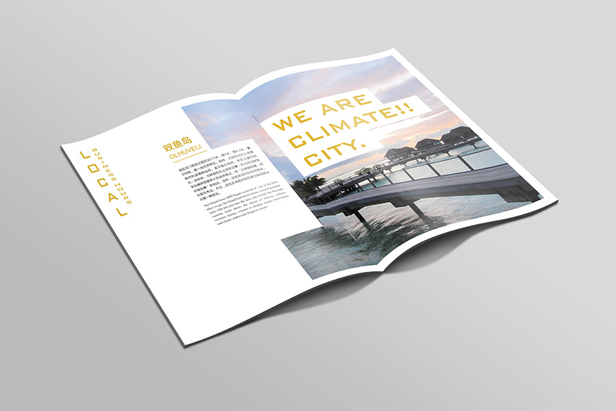 畫(huà)冊設計公司制作的畫(huà)冊設計欣賞圖片大全整理第9張-宣傳畫(huà)冊,紀念冊設計制作-價(jià)格費用,文案模板,印刷裝訂,尺寸大小