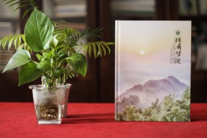 大學(xué)生支教紀念冊-暑期實(shí)踐留念影集設計制作