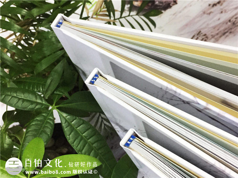 高中畢業(yè)季紀念手冊-同學(xué)錄相冊書(shū)設計配文字模板-成都實(shí)驗外國語(yǔ)