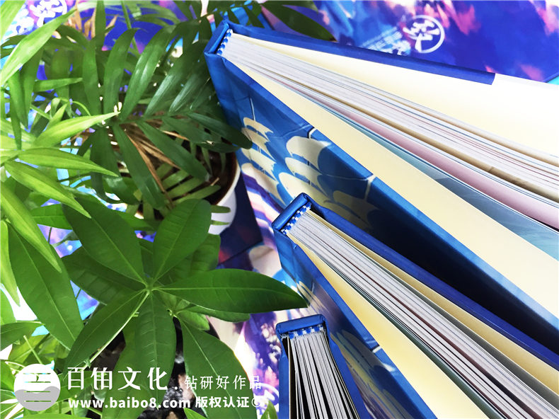 高中畢業(yè)班級相冊照片集策劃-超個(gè)性版面同學(xué)錄-各式搞怪技能