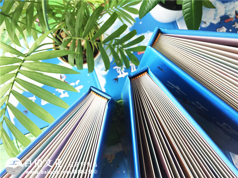 【如何給六年級做相冊】六年級小學(xué)畢業(yè)手冊-成都樹(shù)德小學(xué)