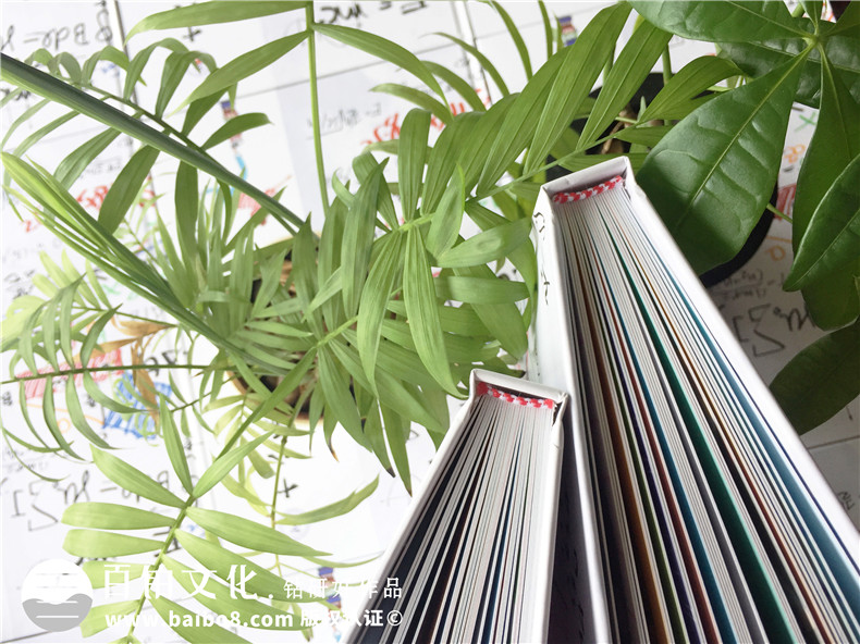 【高中畢業(yè)紀念相冊方案】高中畢業(yè)留念冊制作-成都實(shí)外