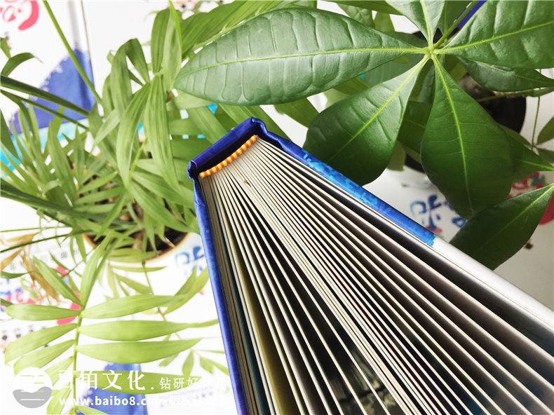 6段畢業(yè)紀念冊老師寄語(yǔ)-六年級畢業(yè)相冊設計詞語(yǔ)-龍江路小學(xué)