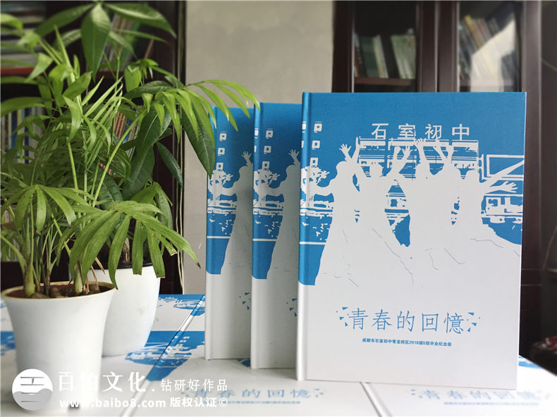 畢業(yè)紀念冊設計-提升專(zhuān)業(yè)策劃和方案設計的能力
