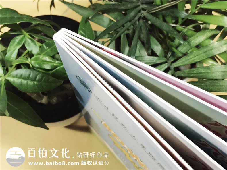 四川師范大學(xué)附屬上東小學(xué)六年級畢業(yè)紀念冊