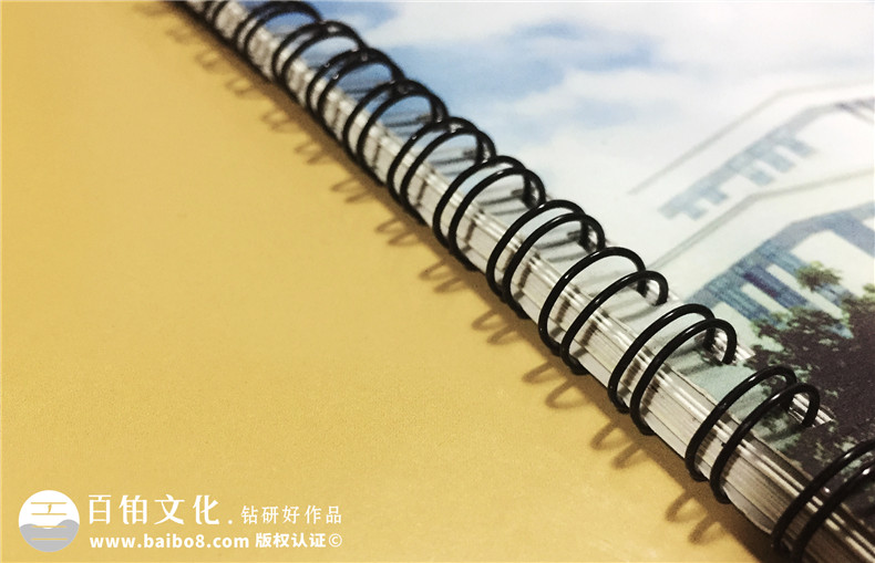 大學(xué)畢業(yè)紀念冊設計制作-西南財大投資系2008級