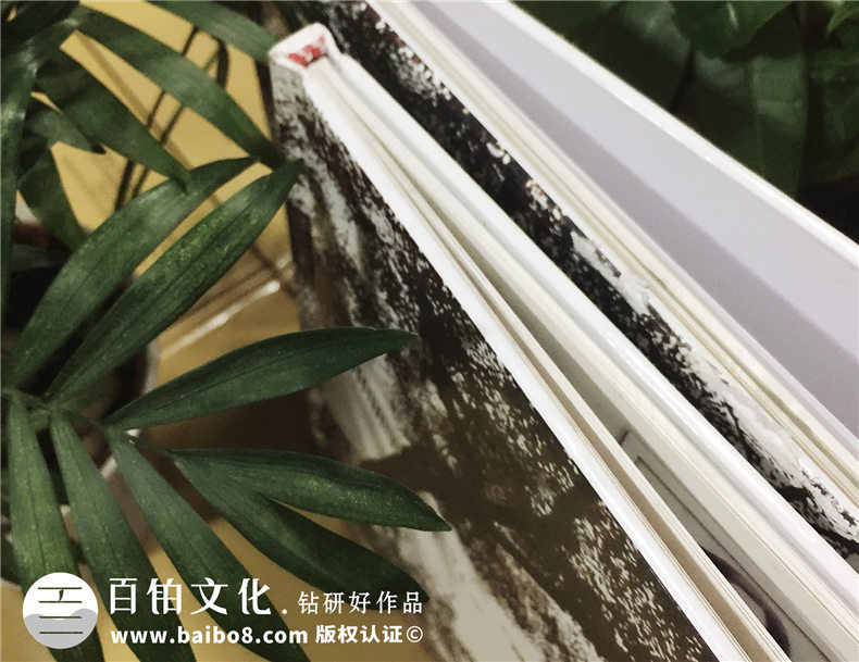 成都西南財經(jīng)大學(xué)保險學(xué)院2012屆本科畢業(yè)生紀念冊