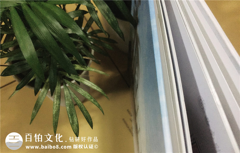 西南財經(jīng)大學(xué)保險學(xué)院2007級本科畢業(yè)紀念冊