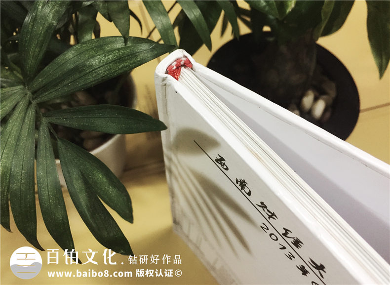 西南財大2009級公管學(xué)院-大學(xué)畢業(yè)紀念冊-同學(xué)錄