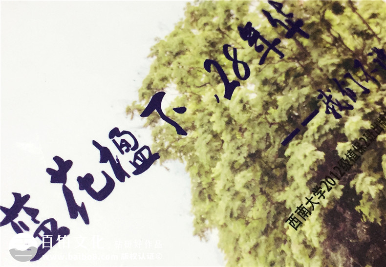 大學(xué)畢業(yè)校園紀念冊-記錄大學(xué)四年成長(cháng)的同學(xué)錄相冊設計-留念影集