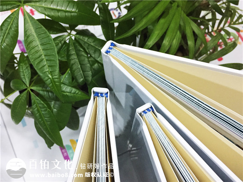 幼兒園畢業(yè)紀念相冊-金蘋(píng)果大班畢業(yè)留念冊定制