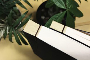 空白可填寫(xiě)家譜印刷裝訂-族譜設計制作