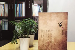 陳氏個(gè)性圖文家譜-個(gè)性創(chuàng  )意族譜設計制作