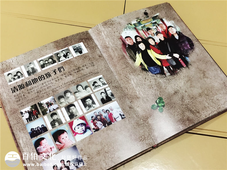 陳氏個(gè)性圖文家譜-個(gè)性創(chuàng  )意族譜設計制作