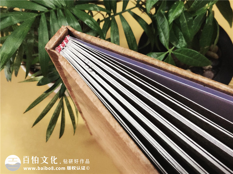 陳氏個(gè)性圖文家譜-個(gè)性創(chuàng  )意族譜設計制作