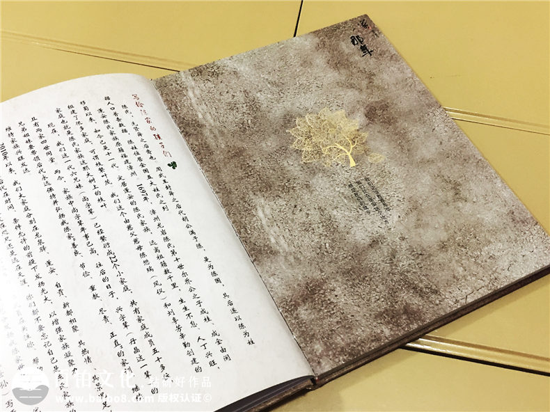 陳氏個(gè)性圖文家譜-個(gè)性創(chuàng  )意族譜設計制作