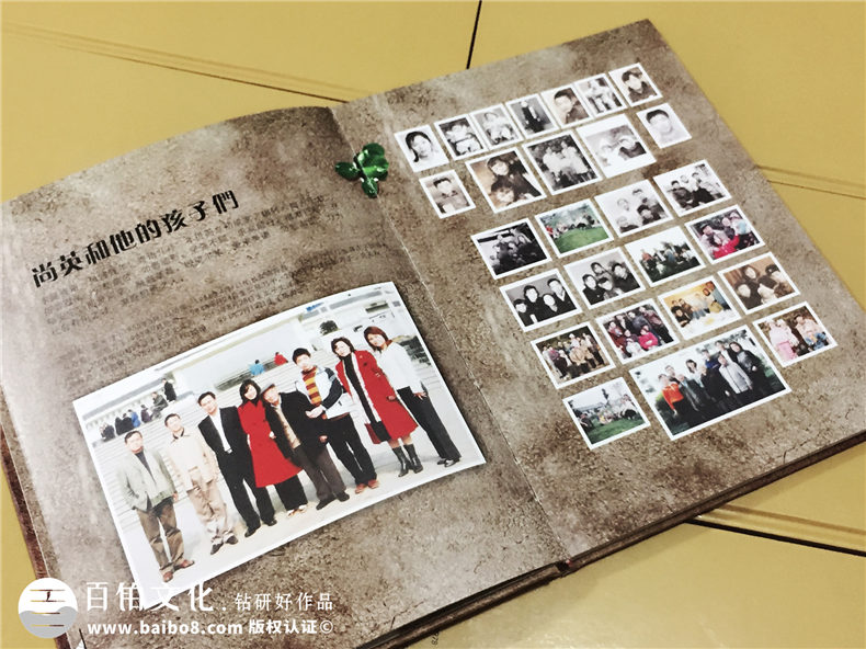 陳氏個(gè)性圖文家譜-個(gè)性創(chuàng  )意族譜設計制作