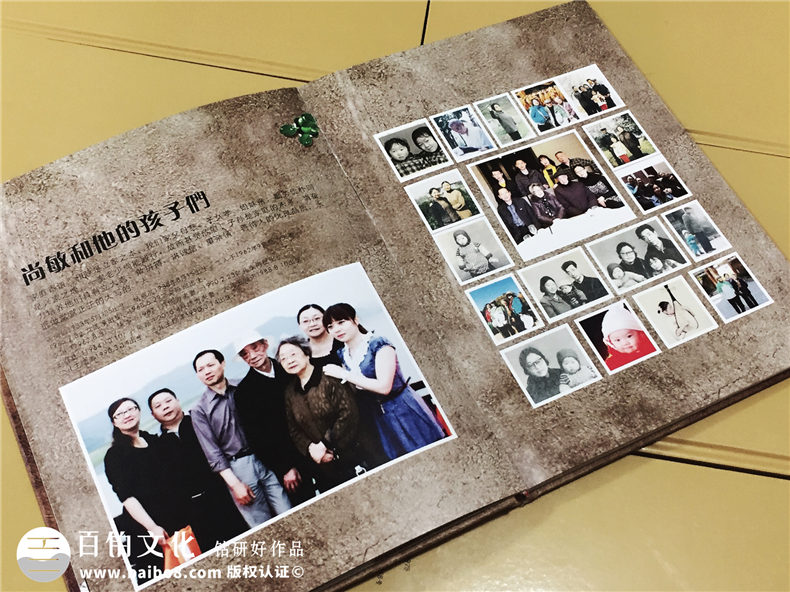 陳氏個(gè)性圖文家譜-個(gè)性創(chuàng  )意族譜設計制作