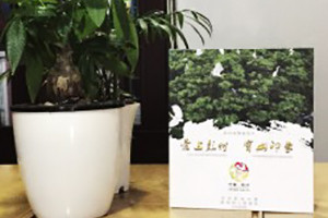 彭州寶山-城市形象宣傳片光盤(pán)包裝盒設計制作