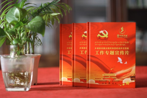 光盤(pán)精裝盒包裝定做-創(chuàng  )建進(jìn)步示范縣工作專(zhuān)題宣傳片視頻光盤(pán)包裝盒