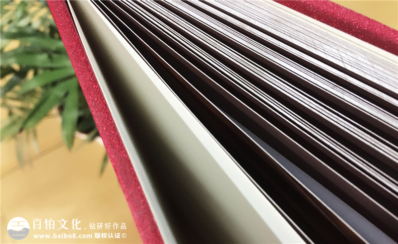 廚之驕實(shí)木整裝產(chǎn)品精裝書(shū)-成都精裝書(shū)制作