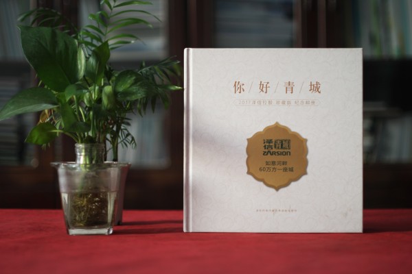 澤信控股企業(yè)紀念冊郵冊定制-公司宣傳畫(huà)冊設計
