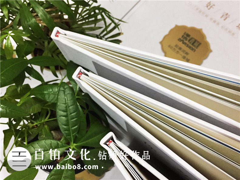 澤信控股企業(yè)紀念冊郵冊定制-公司宣傳畫(huà)冊設計