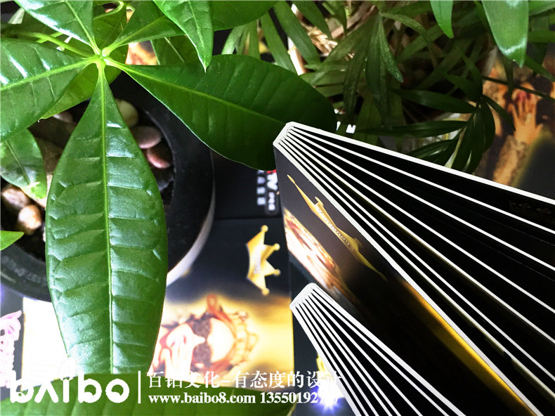 公司五周年紀念郵冊定做-企業(yè)郵票珍藏冊哪里可以訂制