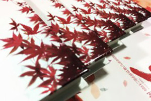 做一本有趣的聚會(huì )紀念冊同學(xué)錄,好東西不免費哦!-內江市威遠縣中學(xué)