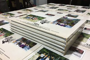 涼山共大首屆新醫班-畢業(yè)37年同學(xué)聚會(huì )紀念相冊