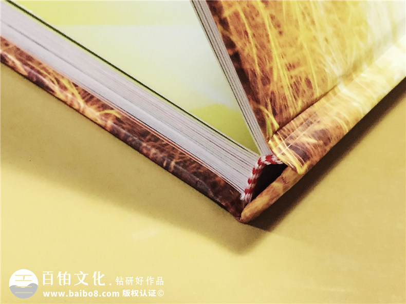 廣東碣石中心小學(xué)畢業(yè)二十周年同學(xué)聚會(huì )紀念冊