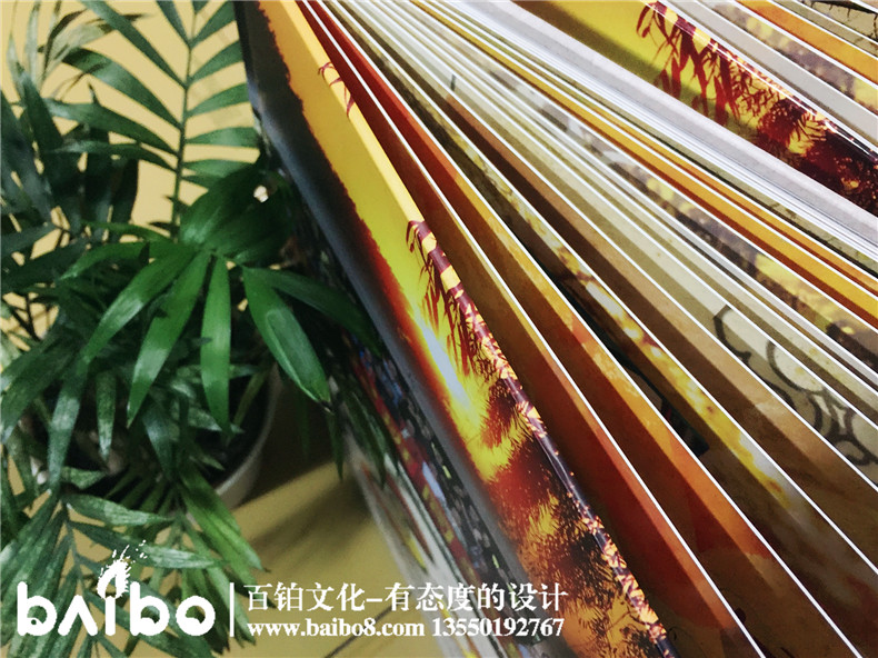 成都機電學(xué)院電862班畢業(yè)三十周年聚會(huì )紀念冊