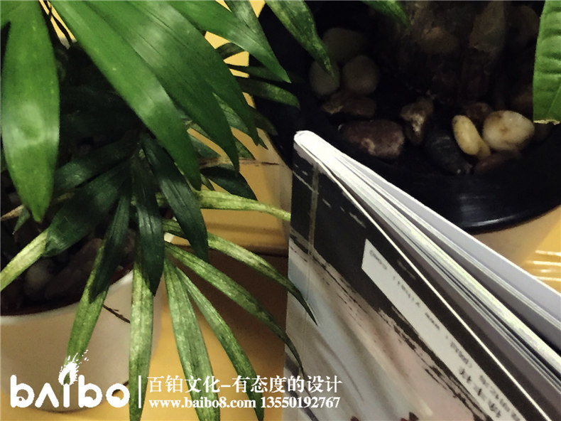 盤(pán)龍中學(xué)初中高中四十周年同學(xué)聚會(huì )紀念冊