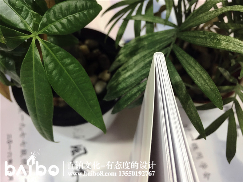 川供校1977級三十六周年同學(xué)聚會(huì )紀念冊-同學(xué)錄