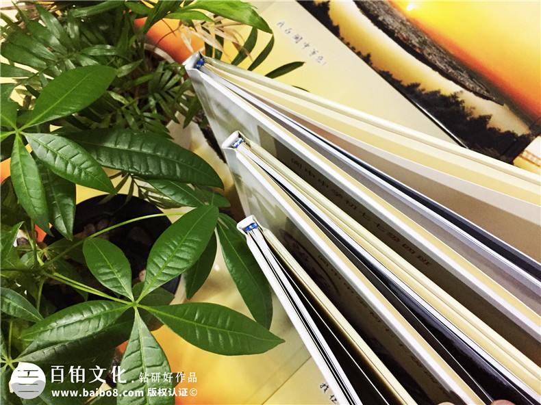 閬中中學(xué)-畢業(yè)四十周年聚會(huì )紀念冊-同學(xué)會(huì )相冊