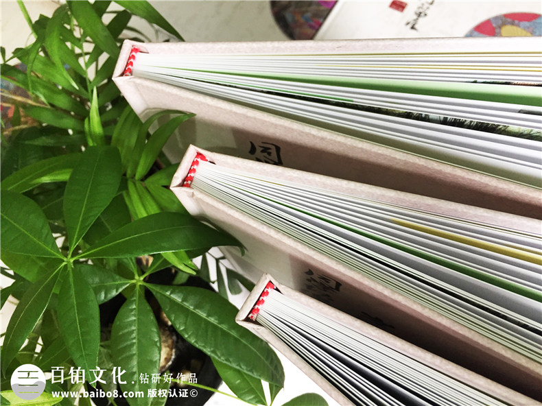 重慶石油校-22周年同學(xué)聚會(huì )紀念冊-同學(xué)會(huì )相冊