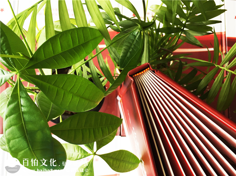 老戰友聚會(huì )紀念冊定制-退伍軍人戰友聯(lián)誼會(huì )相冊