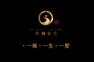 別墅宣傳冊設計方案-中國風(fēng)房地產(chǎn)樓盤(pán)畫(huà)冊設計怎么做