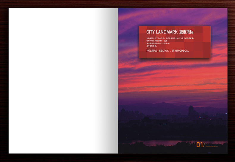 【高端樓書(shū)設計制作】售樓處房地產(chǎn)宣傳畫(huà)冊怎么做高檔簡(jiǎn)約大氣!