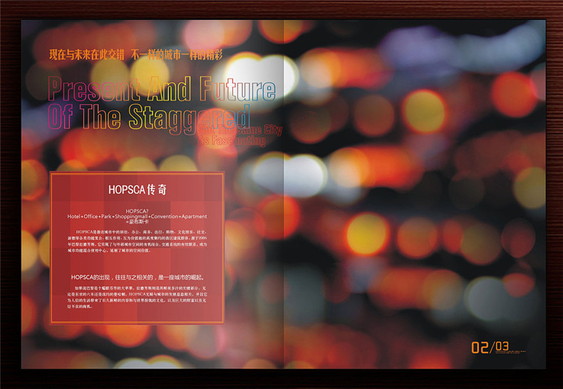 【高端樓書(shū)設計制作】售樓處房地產(chǎn)宣傳畫(huà)冊怎么做高檔簡(jiǎn)約大氣!