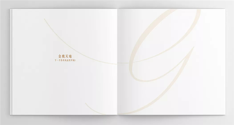 商業(yè)廣場(chǎng)樓書(shū)設計-房地產(chǎn)企業(yè)招商投資宣傳畫(huà)冊設計制作案例賞析!