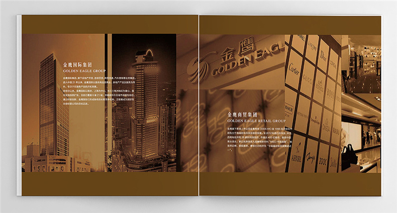 商業(yè)廣場(chǎng)樓書(shū)設計-房地產(chǎn)企業(yè)招商投資宣傳畫(huà)冊設計制作案例賞析!