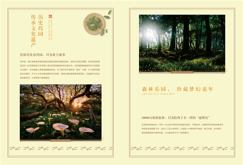 別墅宣傳冊設計方案-中國風(fēng)房地產(chǎn)樓盤(pán)畫(huà)冊設計怎么做
