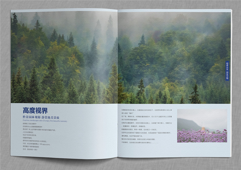 「案例」打造優(yōu)秀的商業(yè)地產(chǎn)配套宣傳畫(huà)冊設計 得做好這幾個(gè)方面!