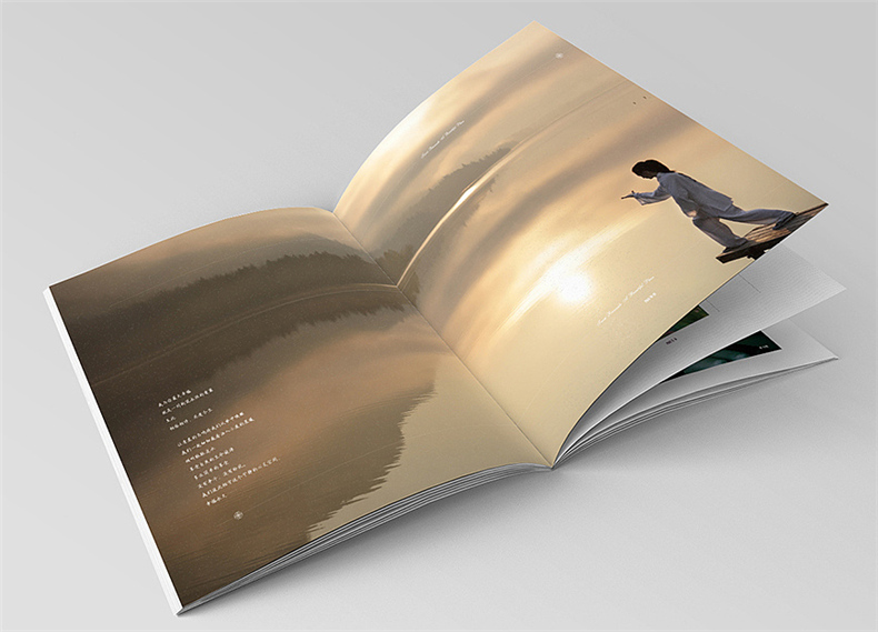 設計地產(chǎn)樓書(shū)一般多少錢(qián)1p-樓書(shū)設計價(jià)格是多少-地產(chǎn)畫(huà)冊收費標準