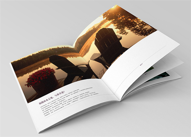 設計地產(chǎn)樓書(shū)一般多少錢(qián)1p-樓書(shū)設計價(jià)格是多少-地產(chǎn)畫(huà)冊收費標準