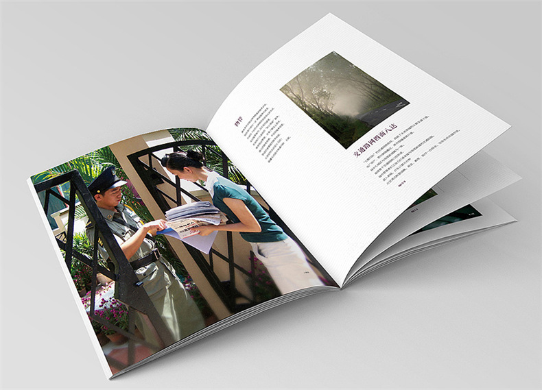 設計地產(chǎn)樓書(shū)一般多少錢(qián)1p-樓書(shū)設計價(jià)格是多少-地產(chǎn)畫(huà)冊收費標準