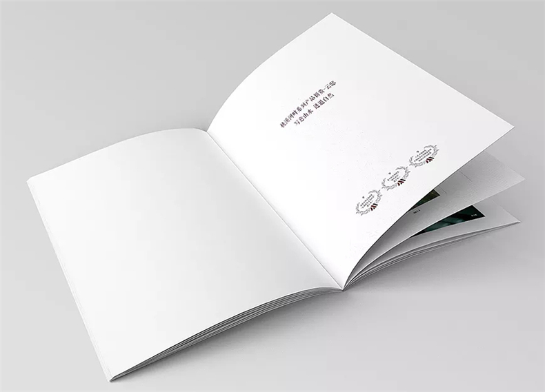 設計地產(chǎn)樓書(shū)一般多少錢(qián)1p-樓書(shū)設計價(jià)格是多少-地產(chǎn)畫(huà)冊收費標準